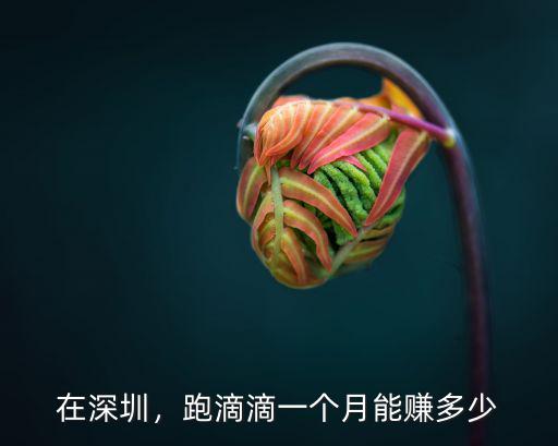 在深圳，跑滴滴一個月能賺多少