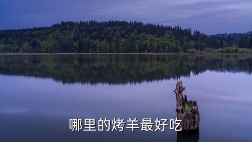湛江市哪里烤全羊,湛江附近哪里農莊好玩