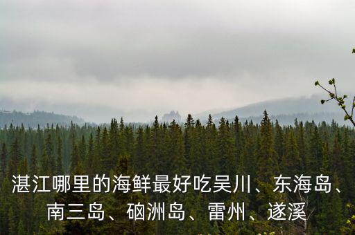 湛江遂溪哪里有海鮮市場(chǎng),湛江哪里有好的海鮮干貨
