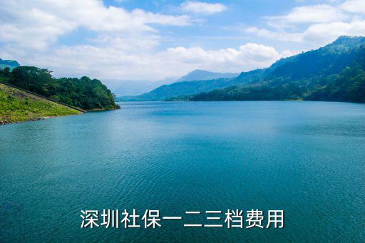深圳社保一二三檔費用