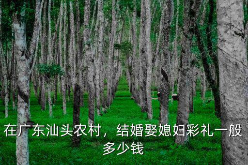 汕頭男方彩禮多少,結(jié)婚娶媳婦彩禮一般多少錢