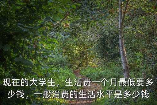廣東大學生的生活費平均每月多少錢,現在的大學生