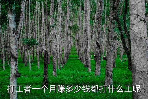 打工者一個月賺多少錢都打什么工呢