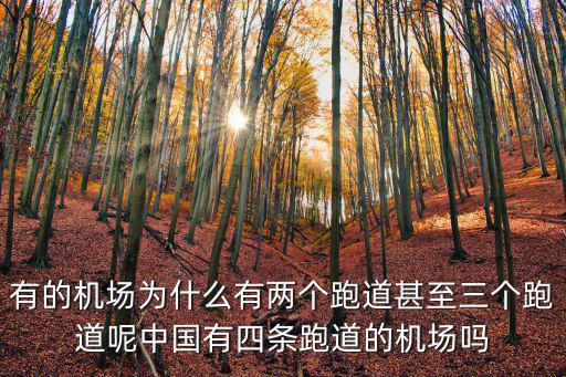 杭州機場有多少跑道,杭州有幾個機場