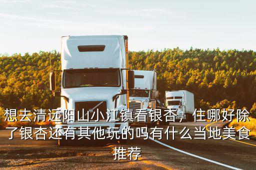 想去清遠(yuǎn)陽(yáng)山小江鎮(zhèn)看銀杏，住哪好除了銀杏還有其他玩的嗎有什么當(dāng)?shù)孛朗惩扑]
