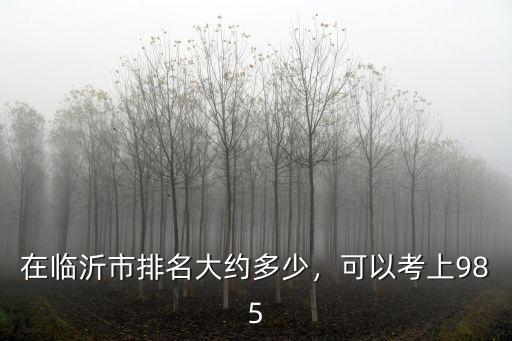 臨沂市前多少名有大學上,聊城大學和臨沂大學哪個好