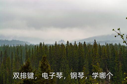 雙排鍵，電子琴，鋼琴，學哪個
