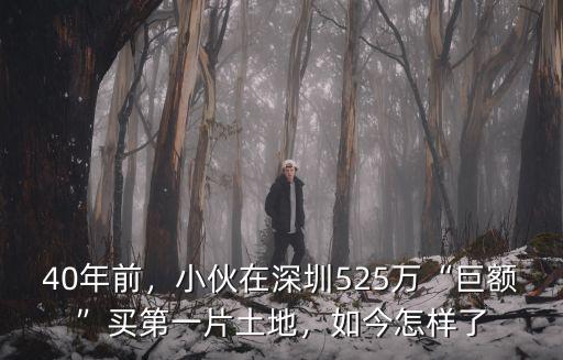 40年前，小伙在深圳525萬“巨額”買第一片土地，如今怎樣了