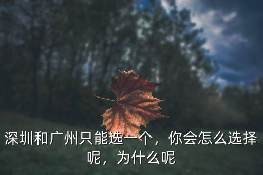 華為當(dāng)年怎么選擇深圳,你為什么選擇在深圳發(fā)展