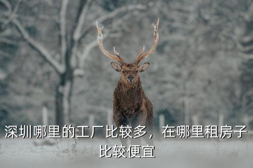 深圳哪里的工業(yè)區(qū)好些,深圳待遇好的大型工廠有哪些