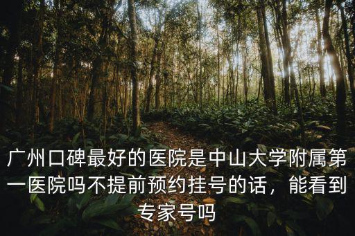廣州口碑最好的醫院是中山大學附屬第一醫院嗎不提前預約掛號的話，能看到專家號嗎