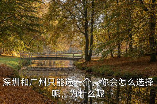 怎么形容廣州和深圳,深圳和廣州只能選一個