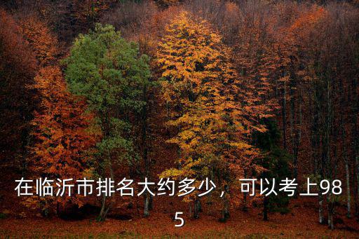 在臨沂市排名大約多少，可以考上985