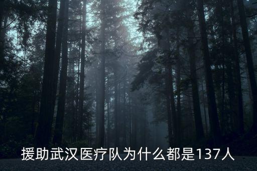援助武漢醫療隊為什么都是137人