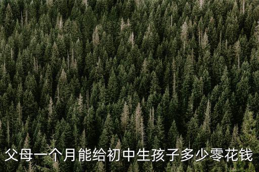 父母一個(gè)月能給初中生孩子多少零花錢(qián)