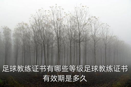 山東有多少足球C級教練員,足球教練證書有哪些等級