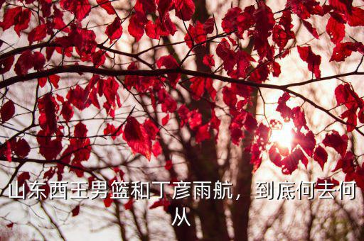 山東西王男籃和丁彥雨航，到底何去何從