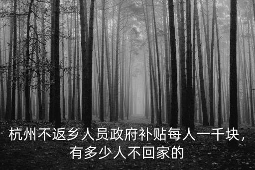 杭州多少人就地過年,有多少人不回家的