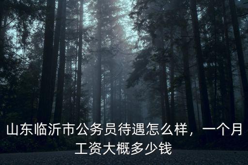 在濟(jì)南公務(wù)員工資大概是多少錢一個(gè)月,一個(gè)月工資大概多少錢