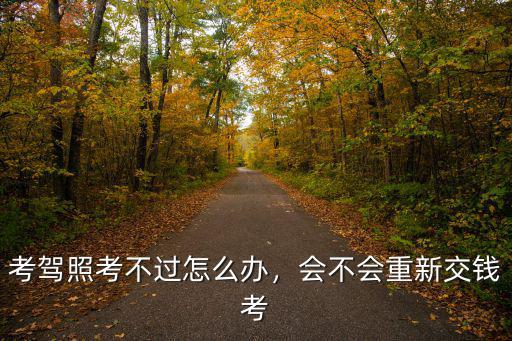 河源市考駕照考不過怎么辦,駕照考三次不過該怎么辦