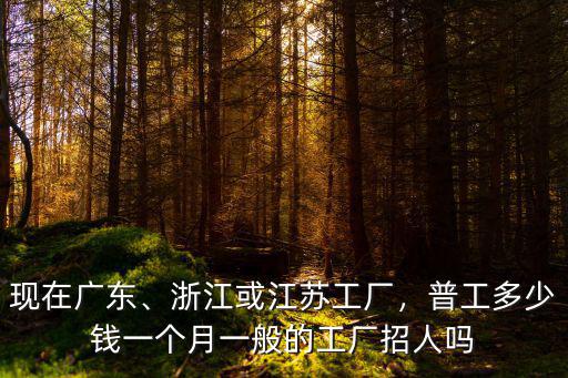 浙江電子廠多少錢一臺,浙江或江蘇工廠