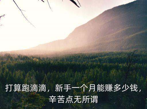 在杭州開滴滴一個(gè)月有多少錢一個(gè)月,打算在杭州租輛合規(guī)車