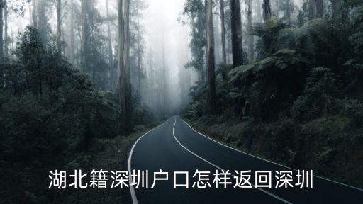 湖北籍深圳戶口怎樣返回深圳