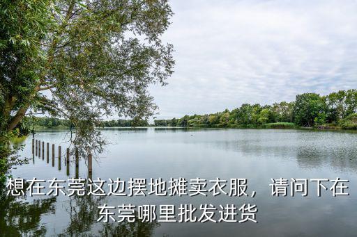 東莞哪里有襪子批發買,請問下在東莞哪里批發進貨