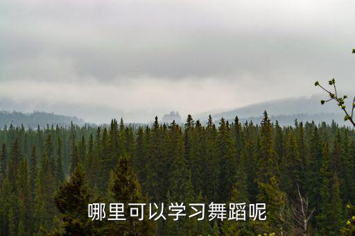 廣州哪里有學韓國舞蹈培訓班,廣州哪里有學爵士舞的