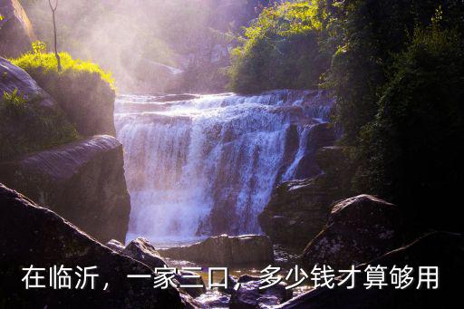 在臨沂，一家三口，多少錢才算夠用