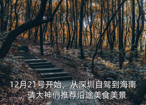 深圳有多少家海南特產,從深圳自駕到海南