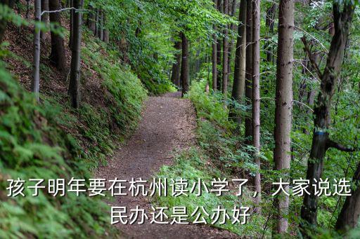 杭州小學公辦民辦差多少,孩子明年要在杭州讀小學了