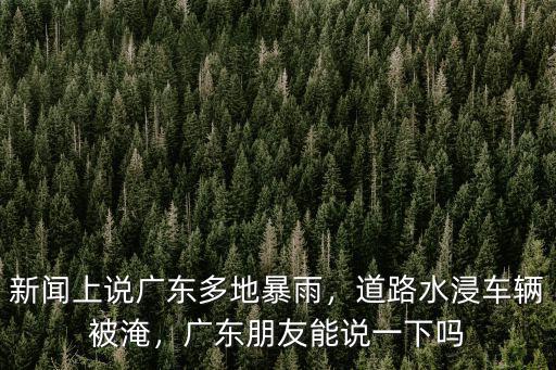 廣東的暴風雨在哪里,臺風暴雨多次襲擊廣東