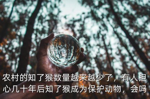 棗莊知了猴多少錢,農(nóng)村的知了猴數(shù)量越來越少了