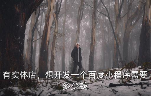 肇慶百度小程序開發(fā)多少錢,百度智能小程序開發(fā)要多少錢