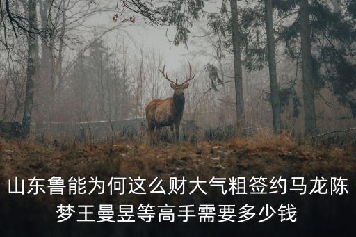 山東魯能為何這么財大氣粗簽約馬龍陳夢王曼昱等高手需要多少錢