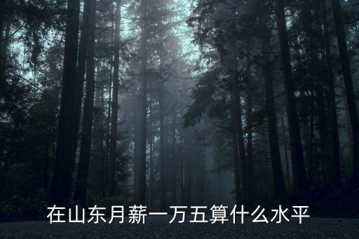 山東平均工資水平是多少,山東省社會平均工資公布