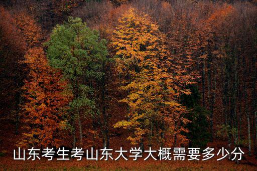 山東考生考山東大學大概需要多少分