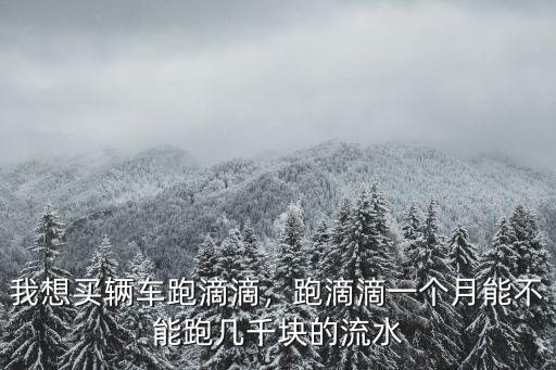 我想買輛車跑滴滴，跑滴滴一個(gè)月能不能跑幾千塊的流水
