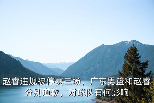 趙睿違規被停賽三場，廣東男籃和趙睿分別道歉，對球隊有何影響