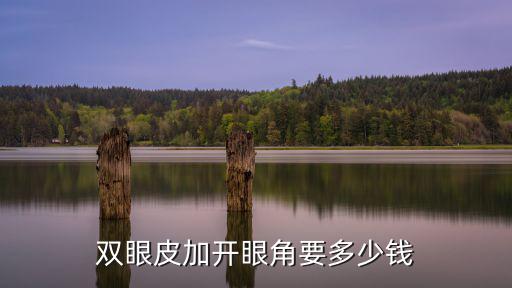 雙眼皮加開眼角要多少錢