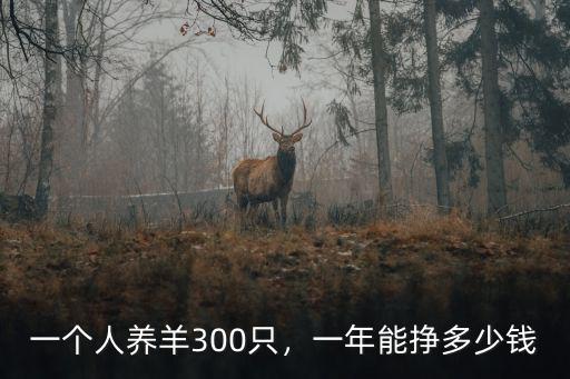 山東高詩巖一年掙多少錢,你一年會掙多少錢回家呢
