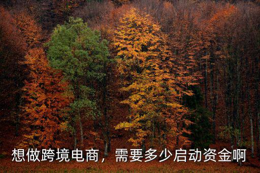 珠海市跨境電商物流熱線多少錢,想做跨境電商