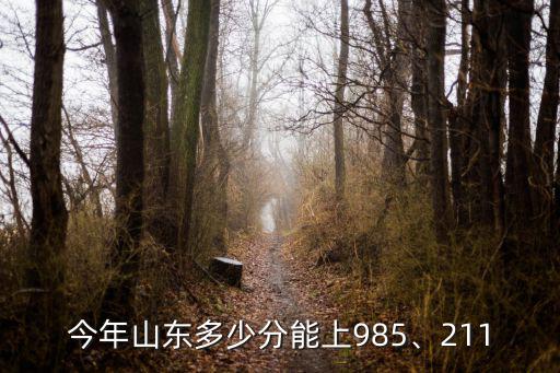 上海交大山東考生多少分錄取,今年山東多少分能上985