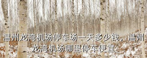 溫州龍灣機場停車場一天多少錢，溫州龍灣機場哪里停車便宜