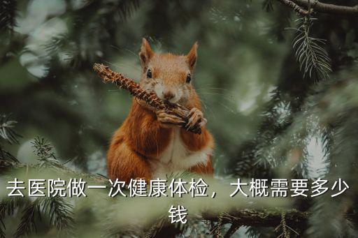 去醫(yī)院做一次健康體檢，大概需要多少錢