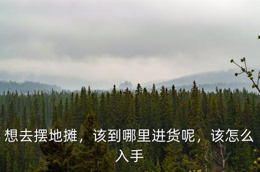 想去擺地攤，該到哪里進貨呢，該怎么入手