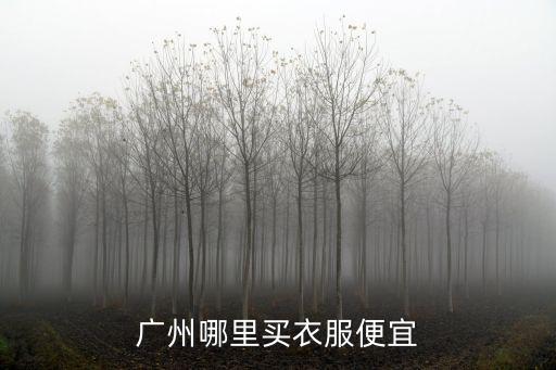 廣州越秀區哪里有妹子,廣州有哪些城中村