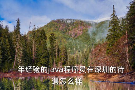 一年經驗的java程序員在深圳的待遇怎么樣