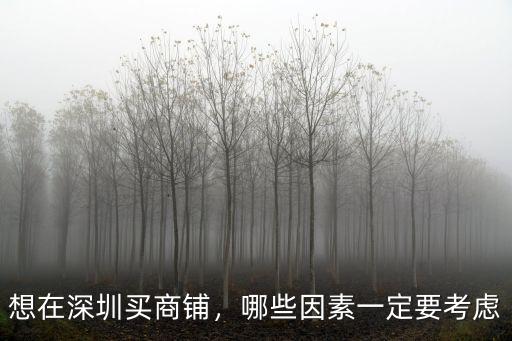 想在深圳買商鋪，哪些因素一定要考慮